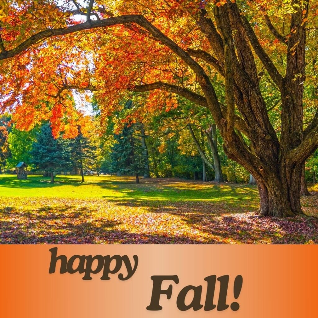 happy autumn fall images 4